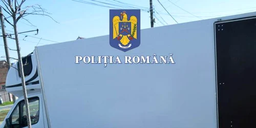 tigari 4 jpg