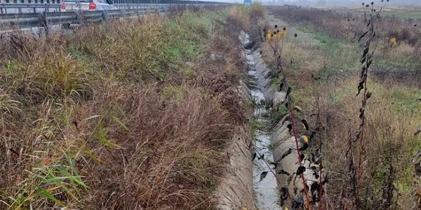 autostrada foto asociatia pro infrastructura