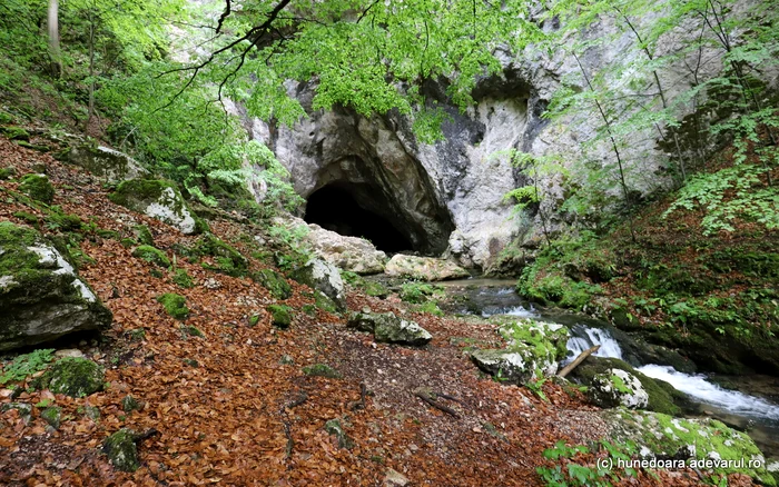 Peștera Cioclovina. Foto Daniel Guță ADEVĂRUL