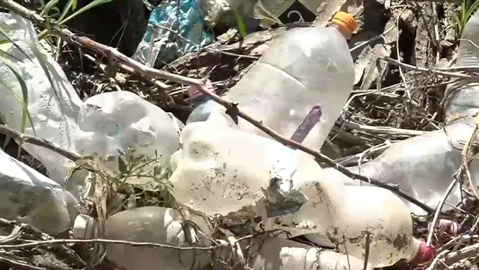 Tone de gunoaie la poalele Apusenilor.