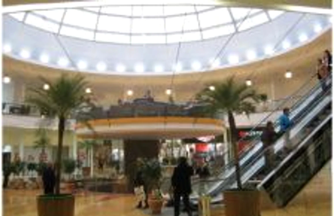 Proconsul va concerta la mall