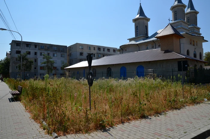 
    Buruienile cresc nestingherite în cartierul Sud din FocşaniFoto: "Adevărul"  