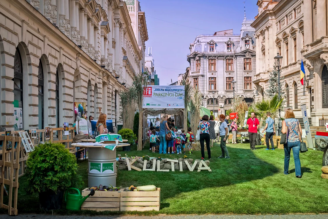 Proconsul a concertat la iarbă verde