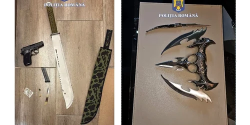 arme IPJ Sibiu jpg