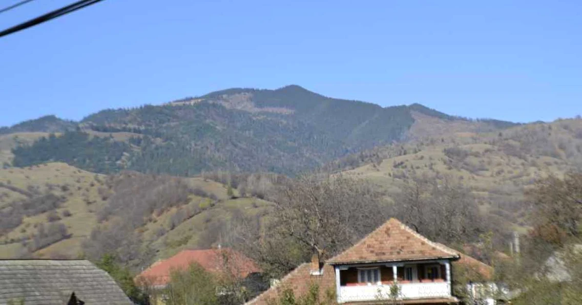 Pentru defrişările şi jaful din pădurile de pe Valea Muntelui nu există vinovaţi 