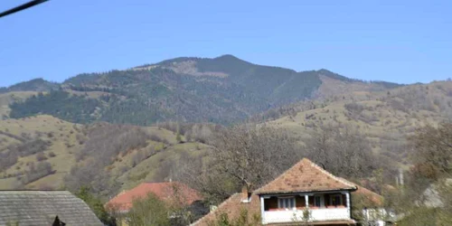 Pentru defrişările şi jaful din pădurile de pe Valea Muntelui nu există vinovaţi