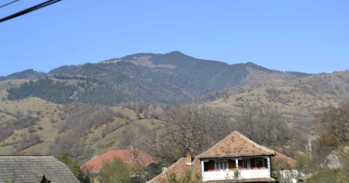 Pentru defrişările şi jaful din pădurile de pe Valea Muntelui nu există vinovaţi.FOTO Mircea Merticariu