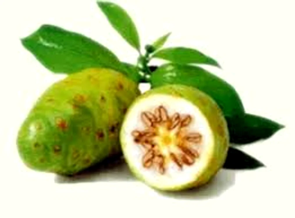 
    Fructele Noni este un tonic pentru organism în sezonul receSursa foto: Click.ro  