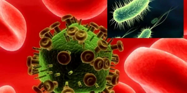 Locurile de unde poţi lua viruşi şi boli contagioase