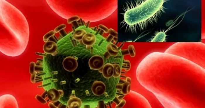 Locurile de unde poţi lua viruşi şi boli contagioase