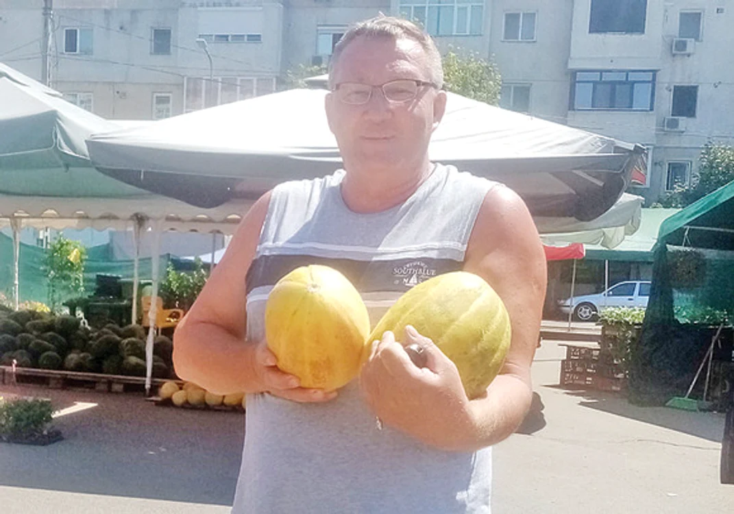
    Familia Nedelcu se mândreşte  cu producţia de piersici turtiteFotografii: Iulian Bunilă/adevarul.ro  