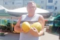 pepeni galbeni jpeg