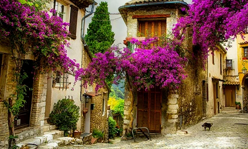 1 80004 original jpg jpeg