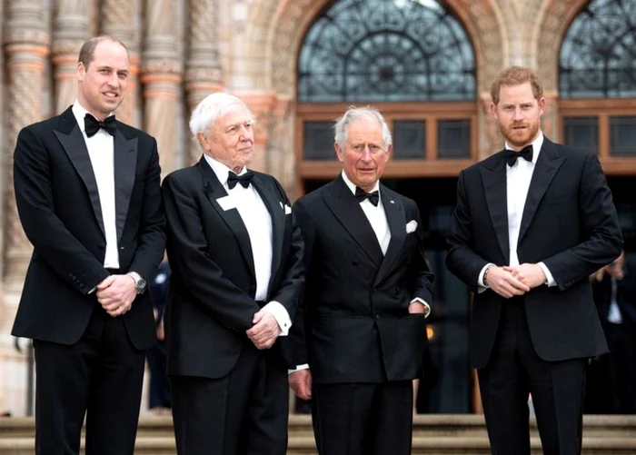 Prinţul Harry s-a depărtat total de Charles şi William /Foto: Profimedia