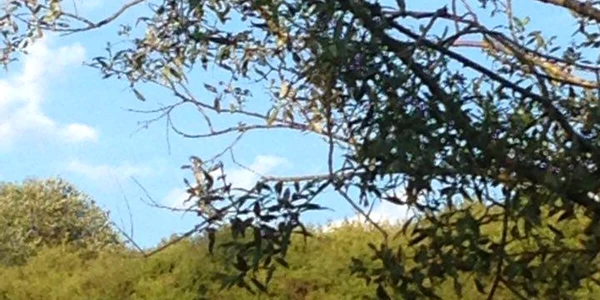 urs atv 