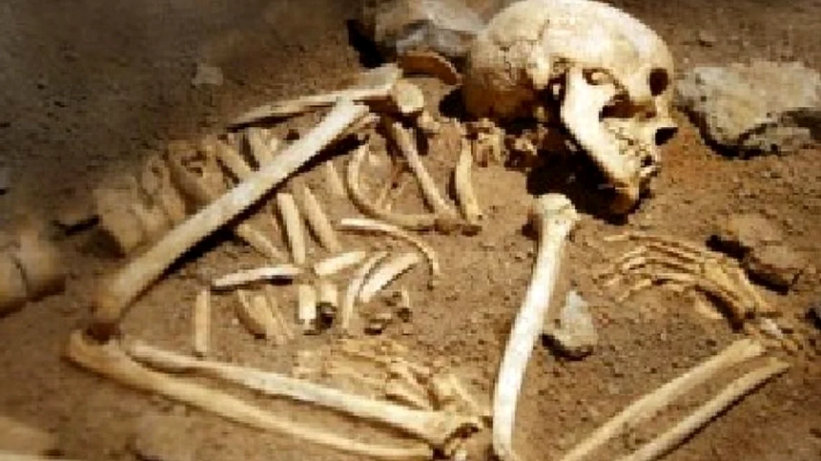 Descoperirea arheologică remarcabilă făcută lângă Ploieşti  Oseminte scoase la lumină după 5 000 de ani jpeg