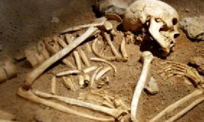 Descoperirea arheologică remarcabilă făcută lângă Ploieşti  Oseminte scoase la lumină după 5 000 de ani jpeg