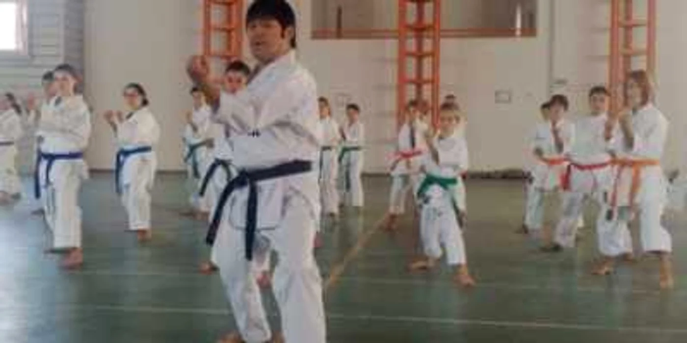 Sibiu: Regal de KarateDo în weekend