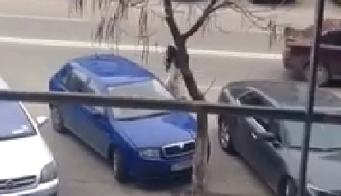 
    Şoferiţa s-a dat jos din maşină atunci când a văzut că nu se descurcăcaptură video  
