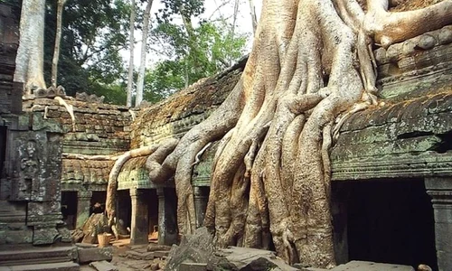O veche statuie ce l înfăţişează pe Buddha a fost descoperită într un templu cambodgian jpeg