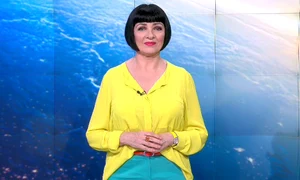 neti sandu