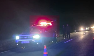 accident DN 55A  FOTO IPJ Dolj2 jpg