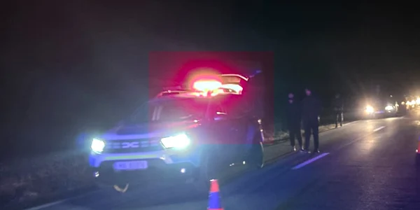 accident DN 55A  FOTO IPJ Dolj2 jpg