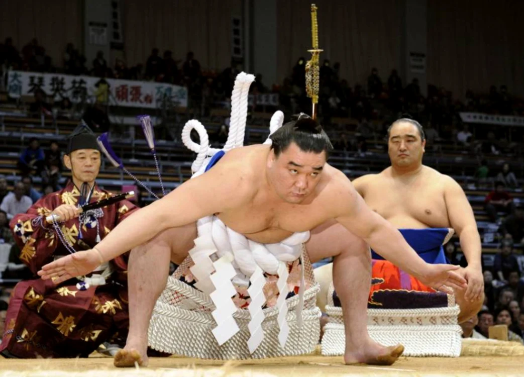 Şah şi sumo, Wijk aan Zee / Tokyo png