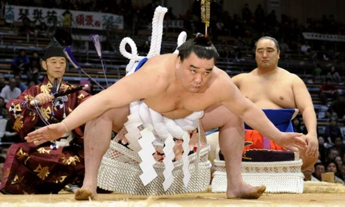 Şah şi sumo, Wijk aan Zee / Tokyo png
