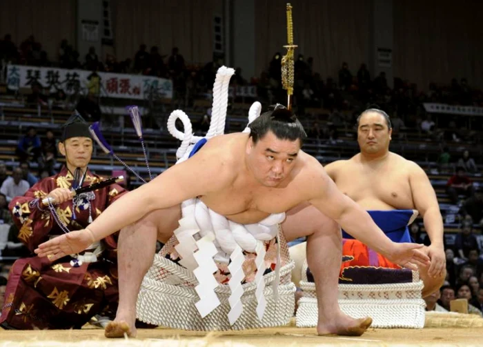 Şah şi sumo, Wijk aan Zee / Tokyo png