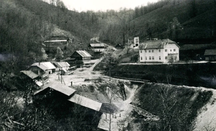 Minele Stănija au fost administrate de o societate franceză                                      FOTO:  Cockerell 1937,