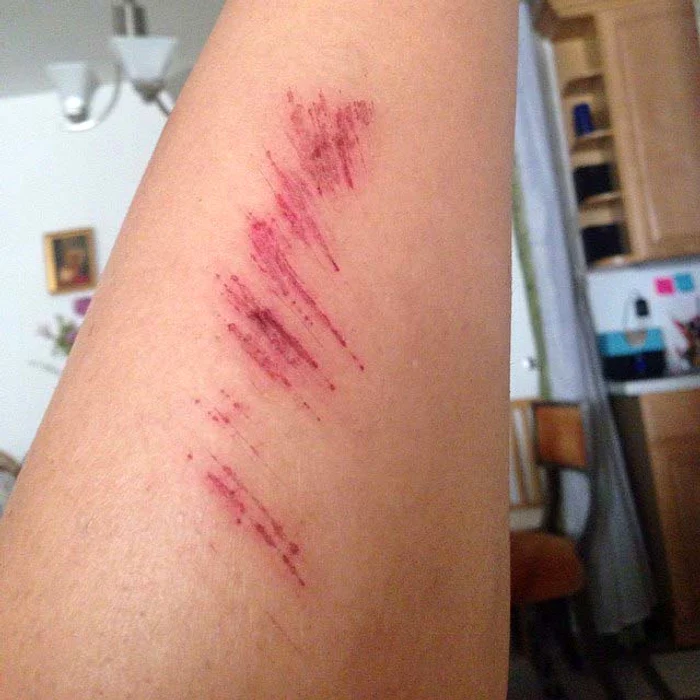 Anamaria FerentzFoto: Facebook