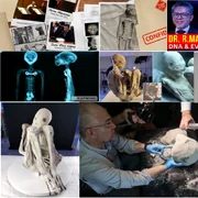 Mumiile extraterestre din Deșertul Nazca Peru Colaj Instagram Nazca Mummmies 