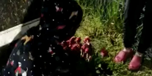 CLIP 2 mp4 thumbnail png