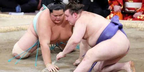 sumo afp jpg