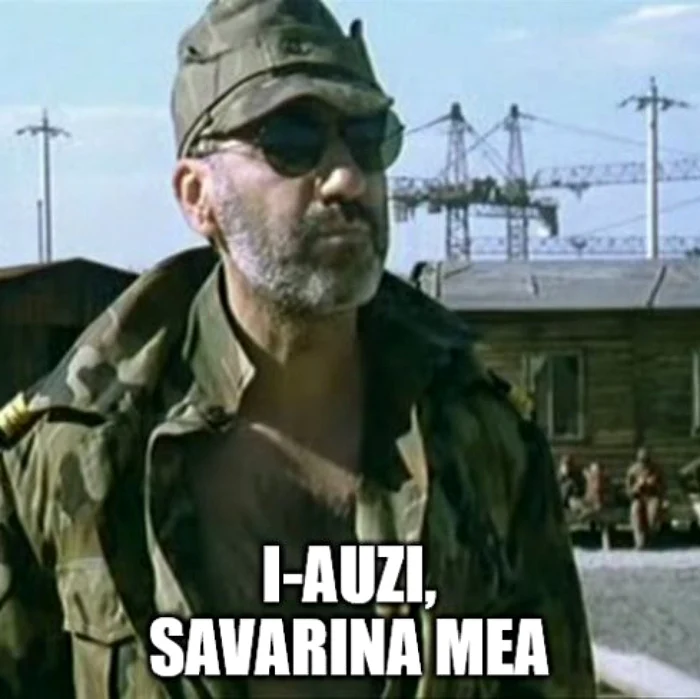 meme savarina psd