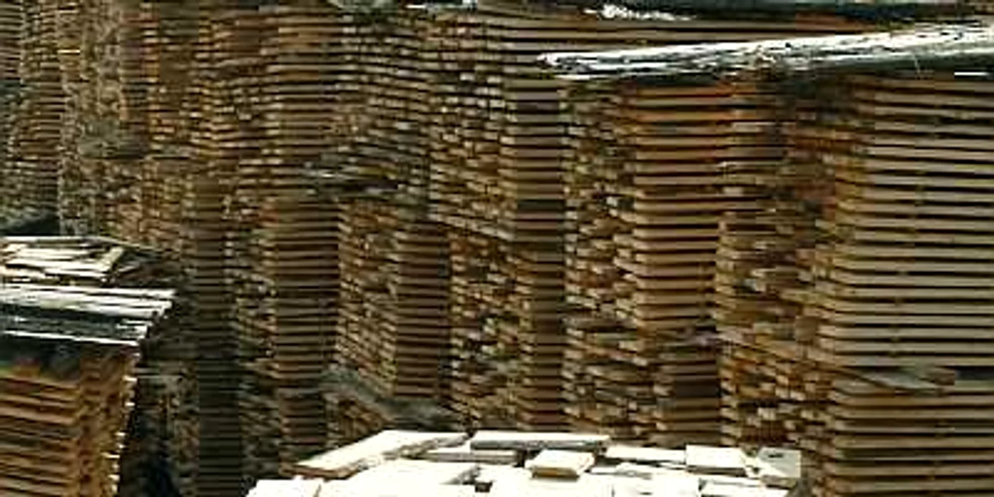 Arad: Jandarmii au efectuat controale în rândul comercianţilor de material lemnos