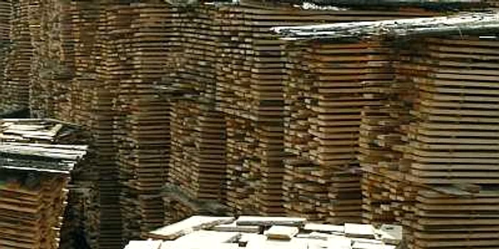 Arad: Jandarmii au efectuat controale în rândul comercianţilor de material lemnos