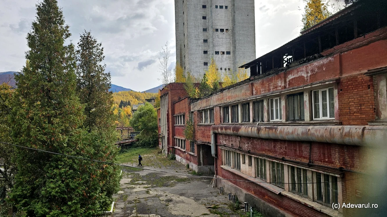Mina Lupeni. 