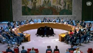consiliul onu foto FB Cornel Feruţă jpg