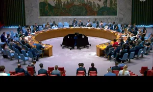 consiliul onu foto FB Cornel Feruţă jpg