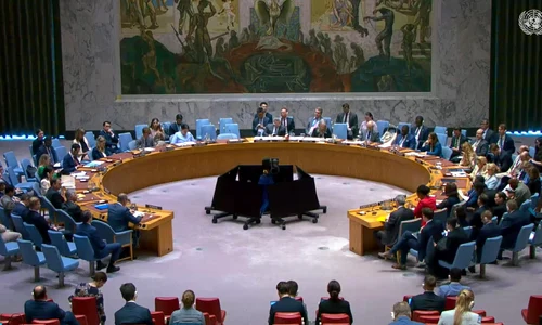 consiliul onu foto FB Cornel Feruţă jpg