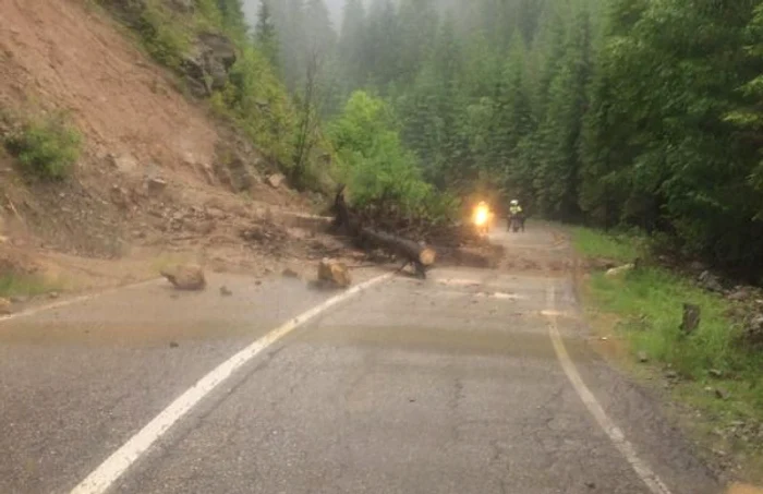 drum alba transalpina