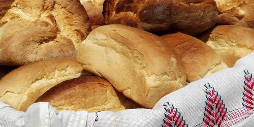 20861984 1460526740727148 9178427067483648387 o jpg