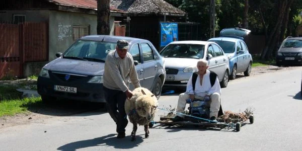 bici grapa