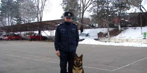 Căţeluşa Bela va fi dresată pentru a căuta persoane de sub dărâmături FOTO