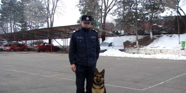 Căţeluşa Bela va fi dresată pentru a căuta persoane de sub dărâmături FOTO