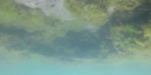 5ee775545163ec4271e2f2fc jpg