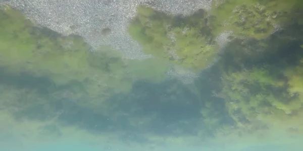 5ee775545163ec4271e2f2fc jpg