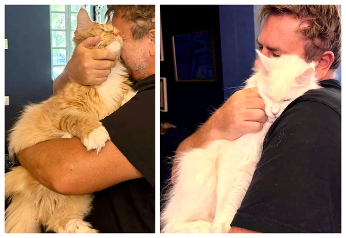 Imaginile postate de Horia Brenciu / foto: arhiva personala